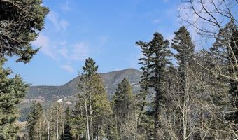 40 Peralta Dr, Angel Fire, NM 87710