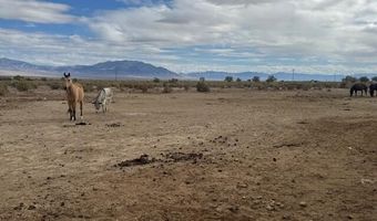 1600 Kyle Hot Springs Rd, Imlay, NV 89418