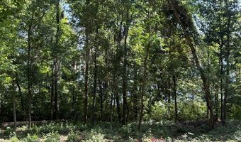 Lakeshore Drive lot 3, Bainbridge, GA 39819