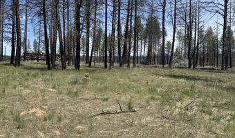 Off Hicks Road Lot 3, Bly, OR 97622