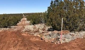 Lot 20 Idlewild Ranch 20, Concho, AZ 85924