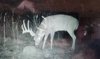 8667 W Hardwood Rd, Atoka, OK 74525