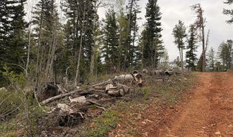 646 W Ski View Dr, Brian Head, UT 84719