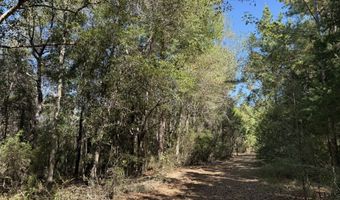 005 G Wallace Buie Rd, Ashford, AL 36376