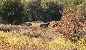 409 Tolman Rd, Clark, WY 82435