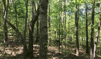 SHOAL CREST DRIVE lot 1 And 2, Ashville, AL 35953