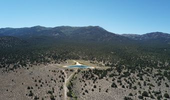 Segura & Fish Creek Ranch, Eureka, NV 89049