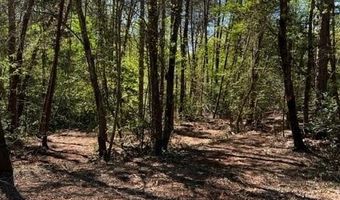 Lot 4a Tabor Ramp Road, Westminster, SC 29693