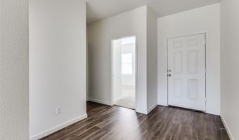 821 Cherry Blossom St, Anna, TX 75409