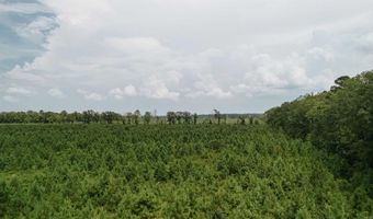 Copeland Ridge Road, Arkadelphia, AR 71923
