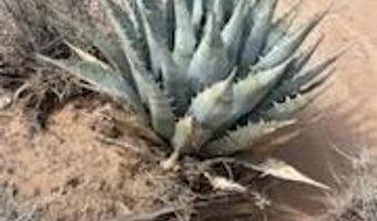606 D S Billy The Kid Rd, Yucca, AZ 86438