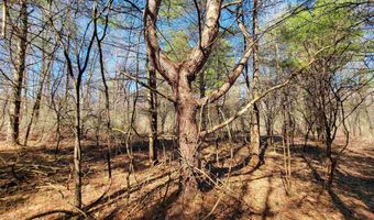 399 Bard Rd, Bennington, VT 05201