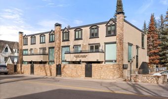 1024 E Cooper Ave 1, Aspen, CO 81611