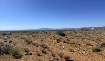 Palo Verde Drive, Chloride, AZ 86431