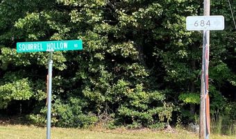 18 62 Ac Squirrell Hollow Rd, Alberta, VA 23821