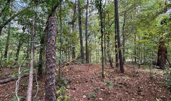 0 GIBSON COVE Dr 7.10 Acres Plus . 58 ac Access Lot, Ashville, AL 35953