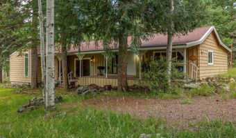 21 County Road 2043, Alpine, AZ 85920