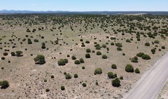 Tbd Windsor Valley Ranch Lot 87, Concho, AZ 85924