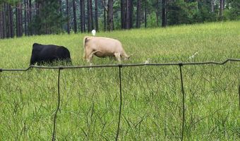 13962 Alabama Highway 95 N, Abbeville, AL 36310