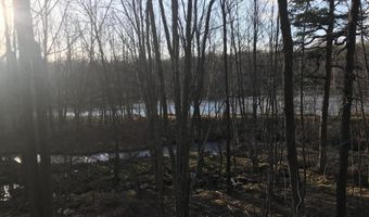 Lot 119 Mountain Rd, Albrightsville, PA 18210