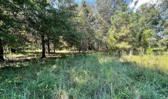 2672 Big Fork Rd, Barnwell, SC 29812