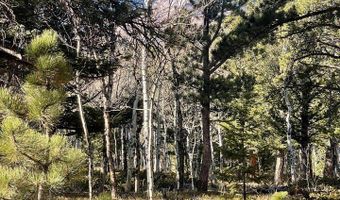 399 N Skinner Rd, Allenspark, CO 80510