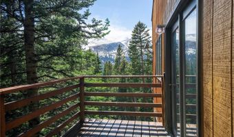 307 Lakeview Dr, Alma, CO 80420