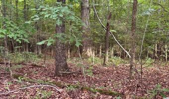 12 Acres Horton Dr, Abbeville, SC 29620