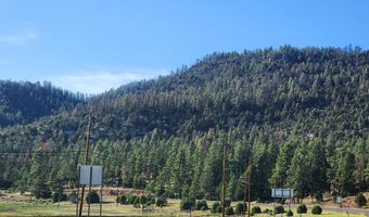 54 1st N St, Alpine, AZ 85920
