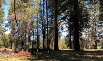 1909 Gold Dust Rd 60, Cascade, ID 83611