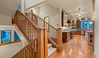 691 Pfister Dr, Aspen, CO 81611