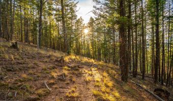 El Camino Real lot 35, Angel Fire, NM 87710