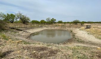 Hwy 6, Albany, TX 76424
