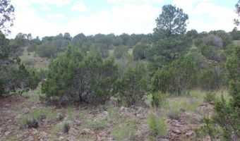 29 Co Rd 3199, Vernon, AZ 85940