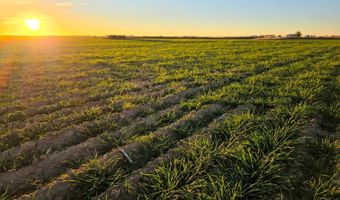 TBD Shumaker Rd, Bennett, CO 80102