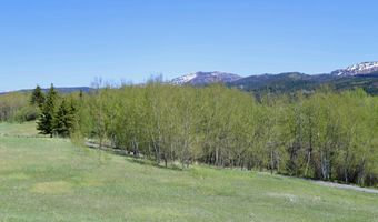 350 W TETON HIDEAWAY Dr, Alta, WY 83414
