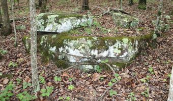 E Mountain Road, Bee Branch, AR 72013