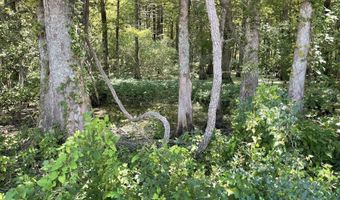 Bolivar Road, Benoit, MS 38725