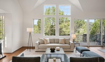 302 Wild Spring Ln, Basalt, CO 81621