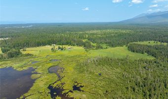 895 Mud Lake Rd, Bigfork, MT 59911
