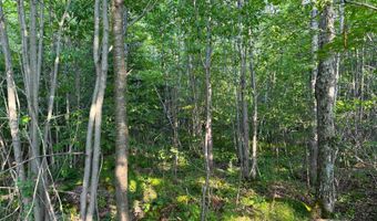 County Road Y, Aniwa, WI 54408