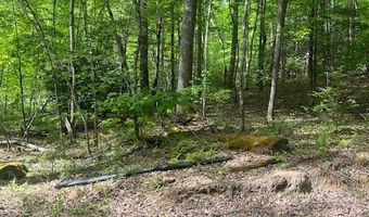 Tbd Brookstone Rd, Bastian, VA 24314