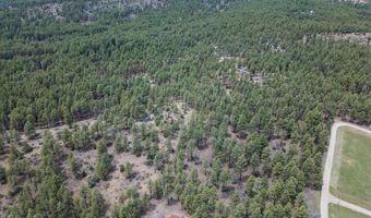 135 Meadow Ln, Bayfield, CO 81122