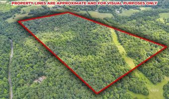 16749 Mush Run Rd, Athens, OH 45701