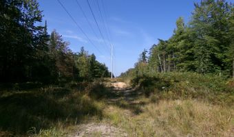 V/L 30AC Lake Winyah Road, Alpena, MI 49707