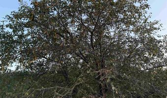 Lot 3 EAU CLAIRE RIVER ROAD, Aniwa, WI 54408