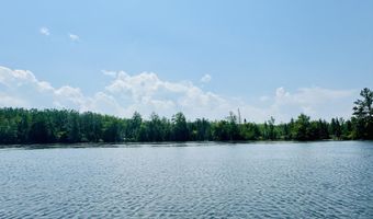 6378 Macey Ln, Alpena, MI 49707