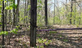 000 N Plainview, Anderson, MO 64831