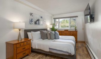 210 E Cooper Ave 1C, Aspen, CO 81611