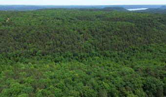 E Mountain Road, Bee Branch, AR 72013